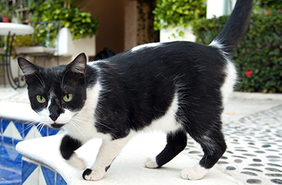 Mision de los Arcos Huatulco