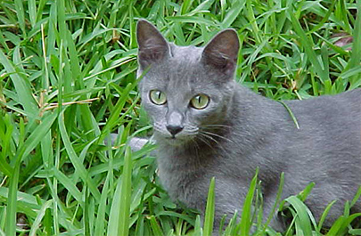 Mision de los Arcos Huatulco